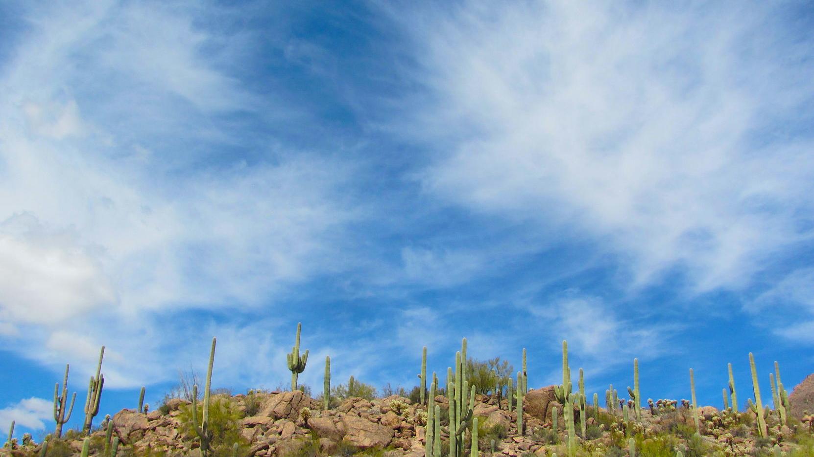 Tucson weather: No more rain, 80-degree temperatures